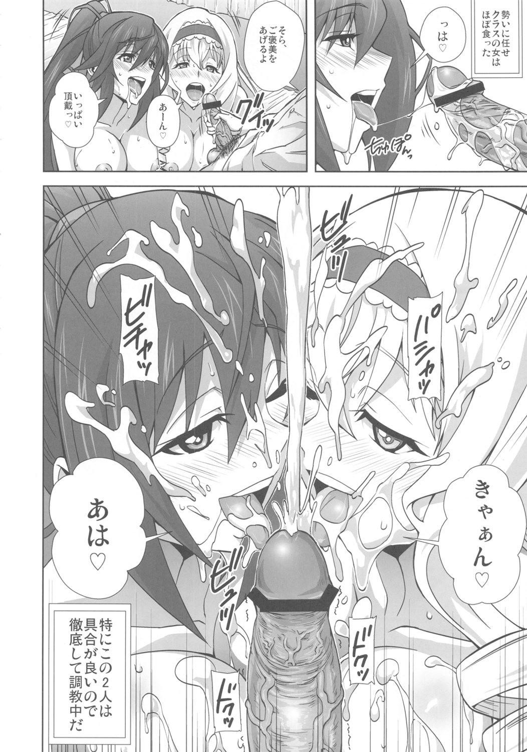 (COMIC1☆5) [鴨ローサーズ (オオバンブルマイ)] 淫フィニットドSトラトス (IS＜インフィニットストラトス＞)