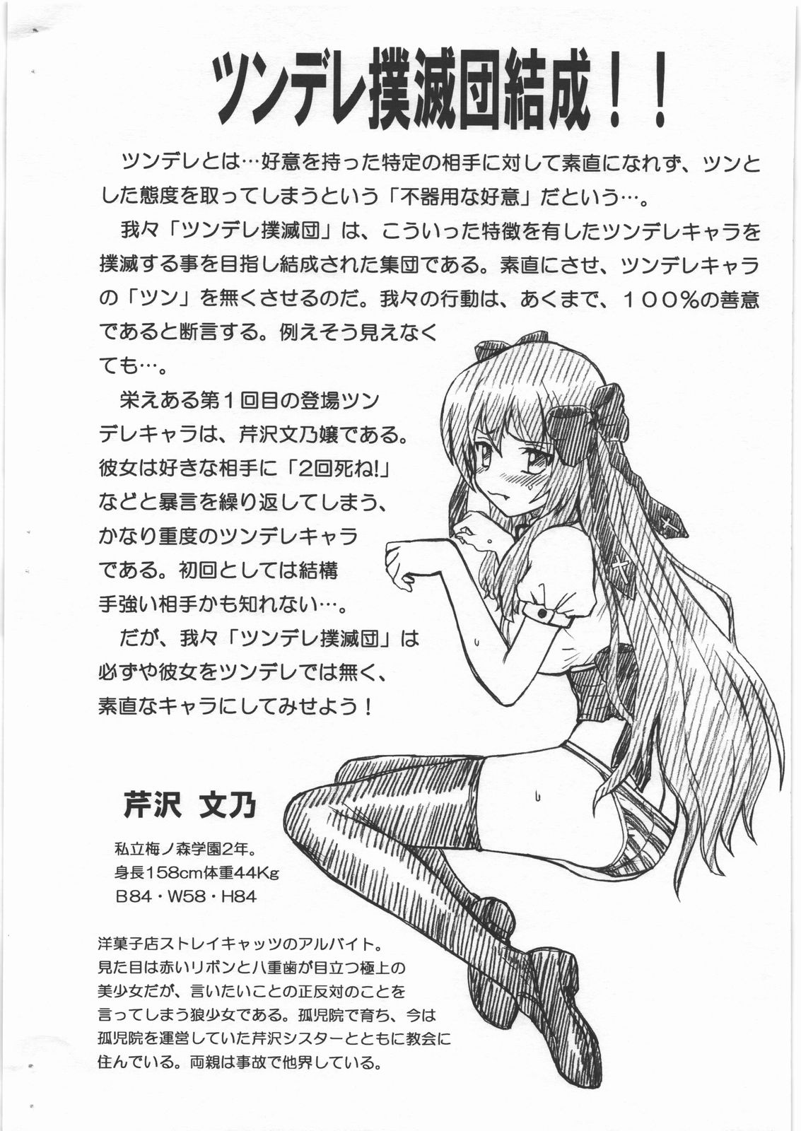 [RAT TAIL (IRIE YAMAZAKI)] MAYOINEKO FILE 芹沢 文乃 画像集 (迷い猫オーバーラン!)