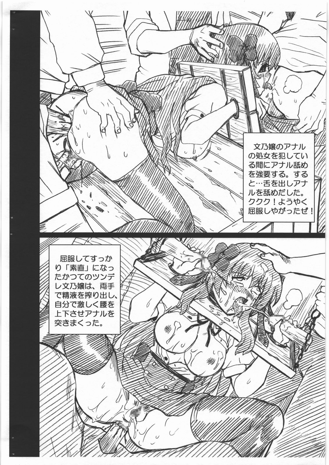 [RAT TAIL (IRIE YAMAZAKI)] MAYOINEKO FILE 芹沢 文乃 画像集 (迷い猫オーバーラン!)