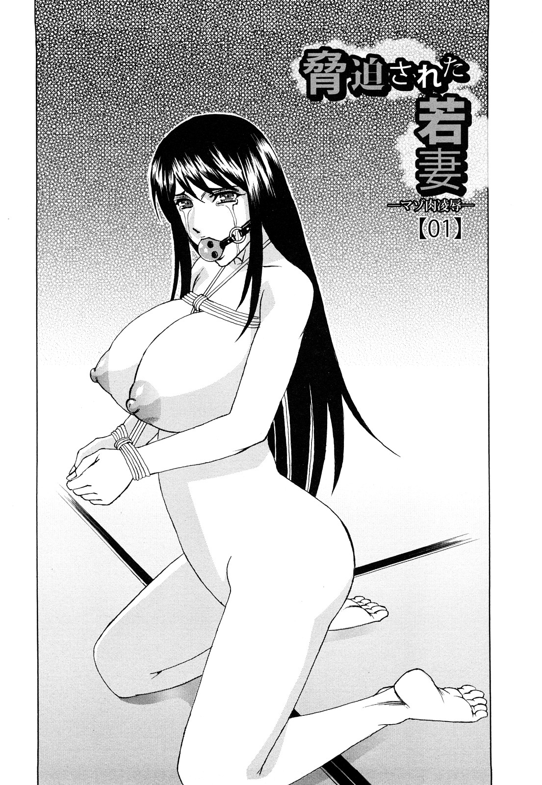 [山本善文] 寝取られ猥婦 真性マゾ姉妹調教
