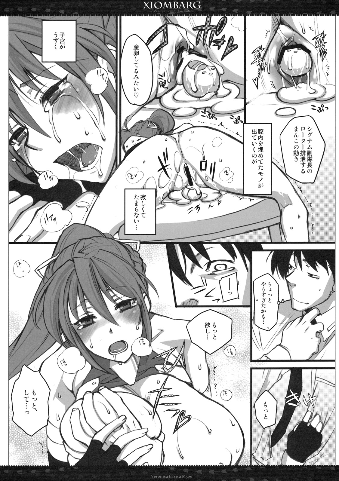 (C79) [VM500 (こめ)] キシオムバーグ (魔法少女リリカルなのはStrikerS)