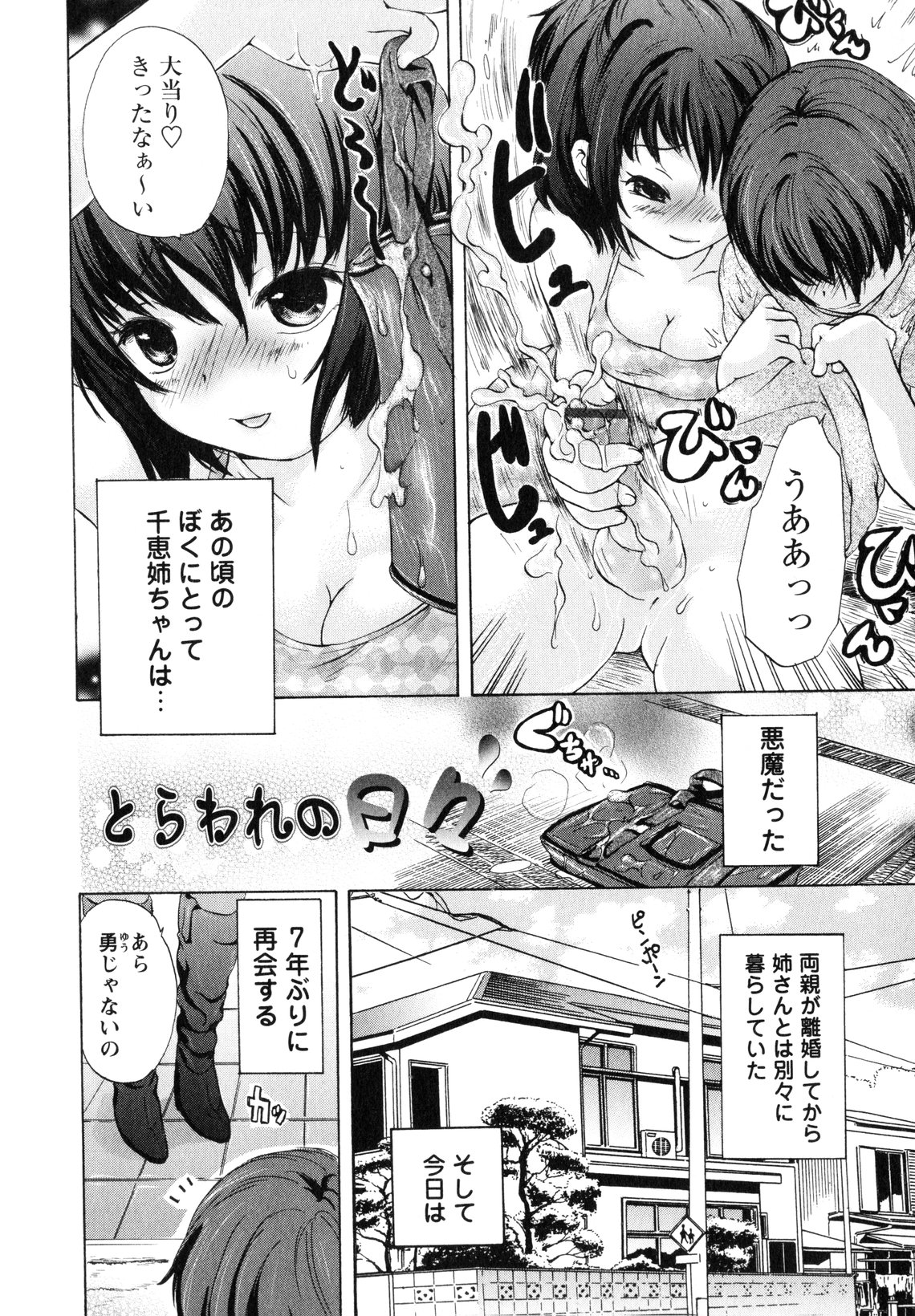 [小石川れんず] お姉さんの肉壺