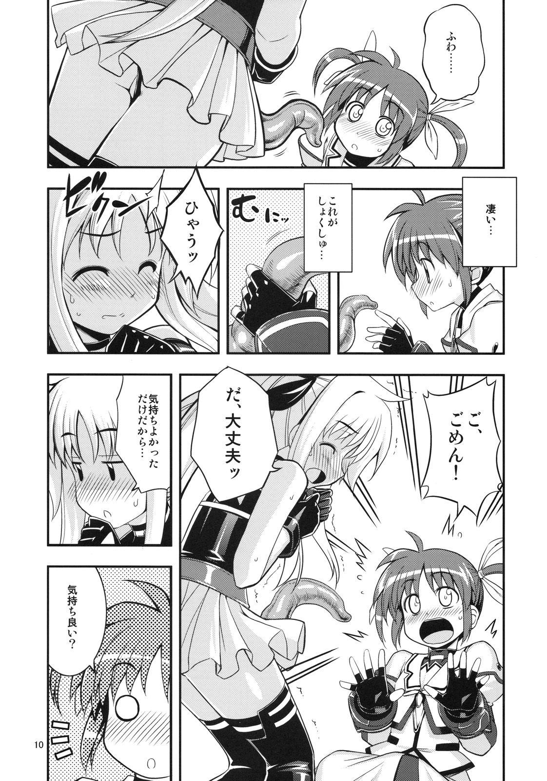 (C78) [RUBBISH選別隊 (無望菜志)] RE11 (魔法少女リリカルなのは)