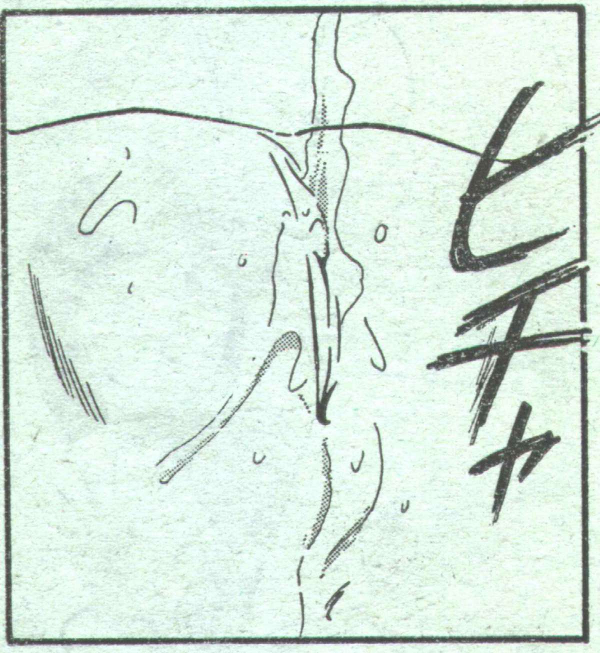 コットンコミック 1994年05月号 [不完全]