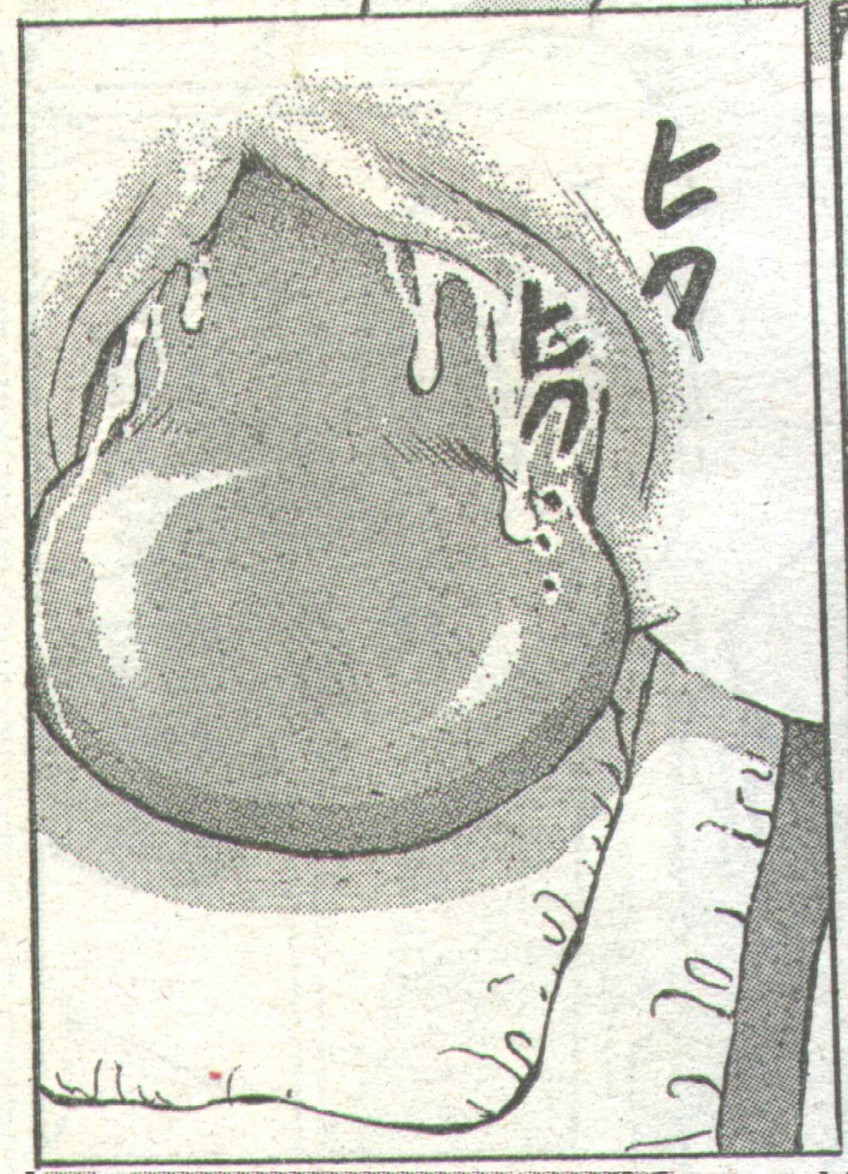 コットンコミック 1995年03月号 [不完全]