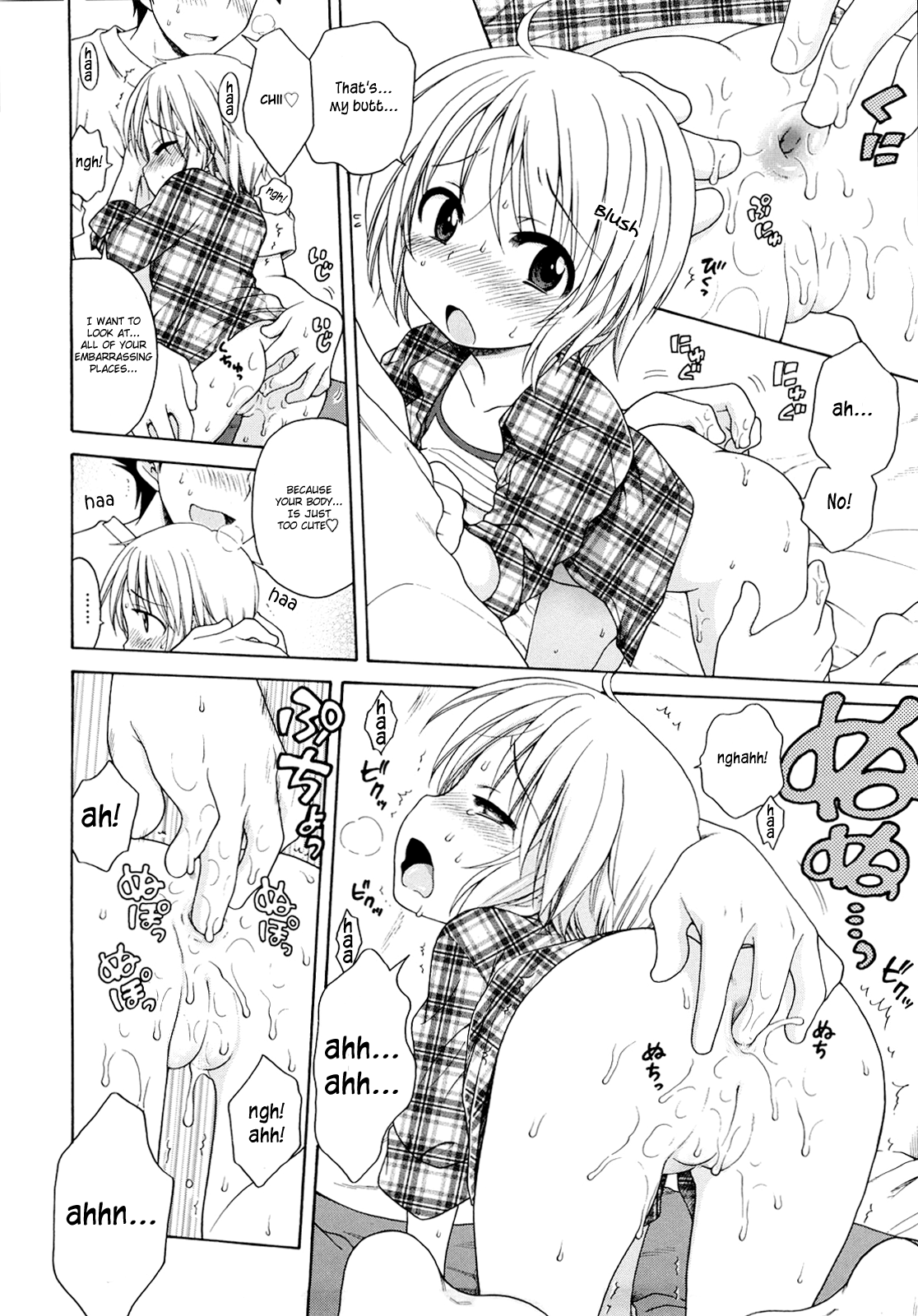 [犬星] おにいちゃんが、すき。 [英訳]