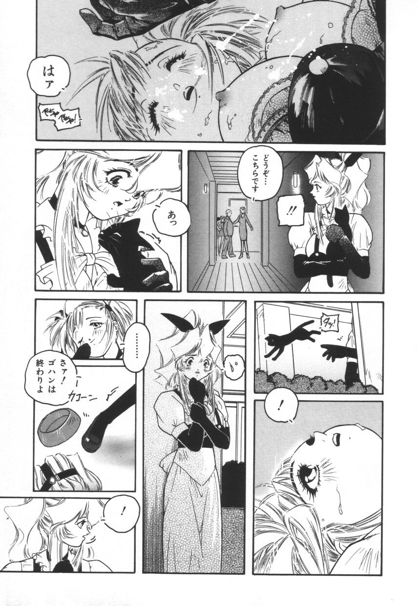 [プロトンザウルス] BACKYARD BREEDER
