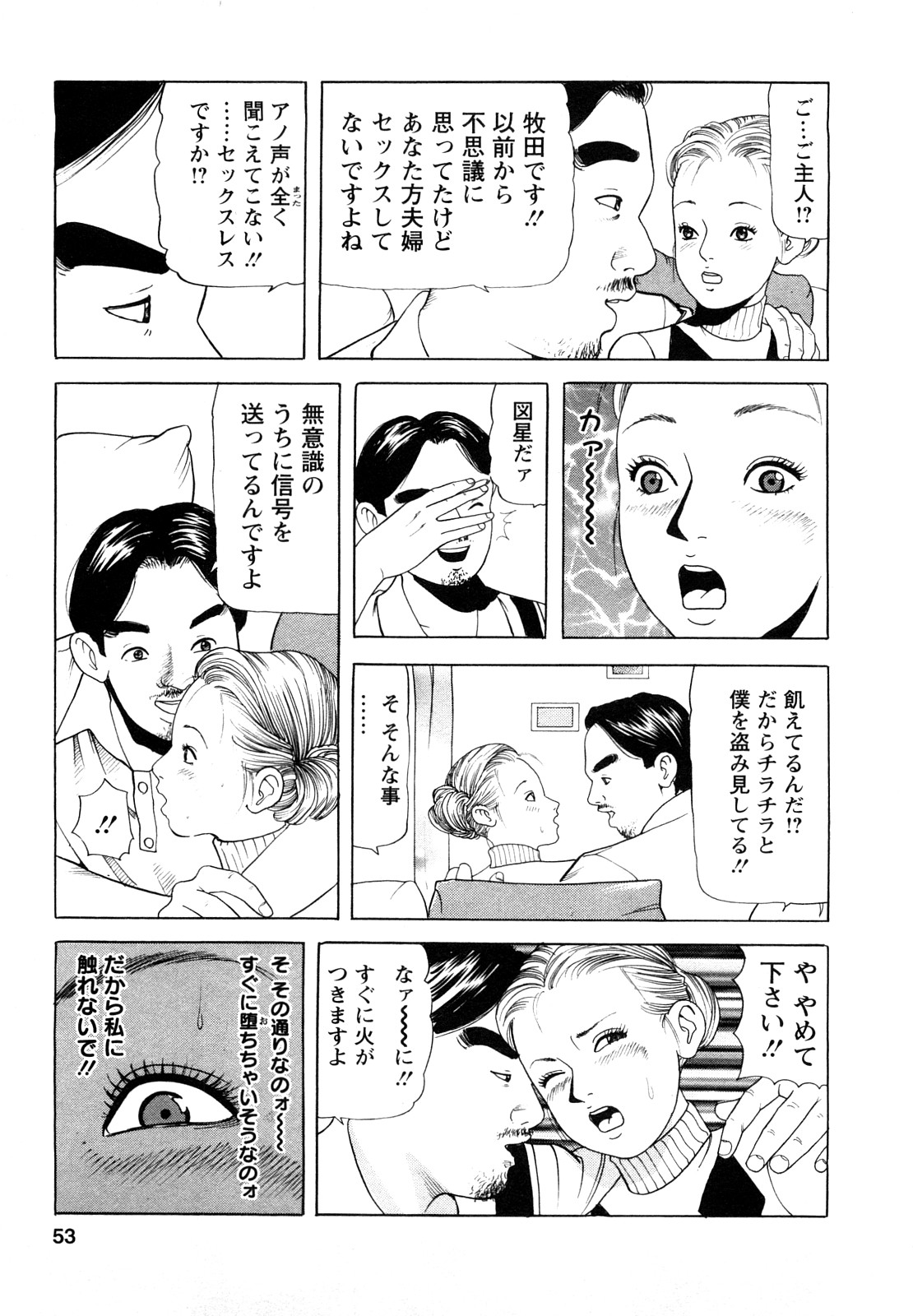 [ともだ秀和] 人妻・甘美な裏生活