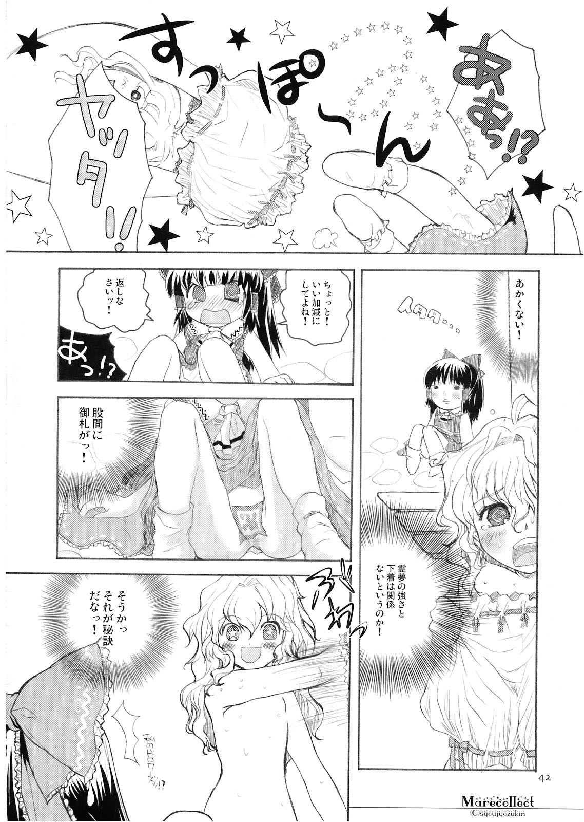 (C74) [少女頭巾 (鳩麦月々)] Marecollect (東方Project)