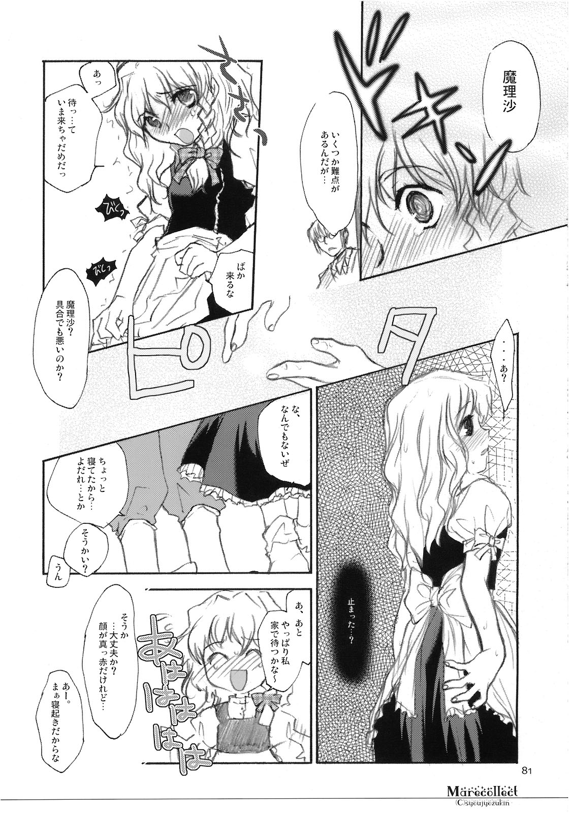 (C74) [少女頭巾 (鳩麦月々)] Marecollect (東方Project)