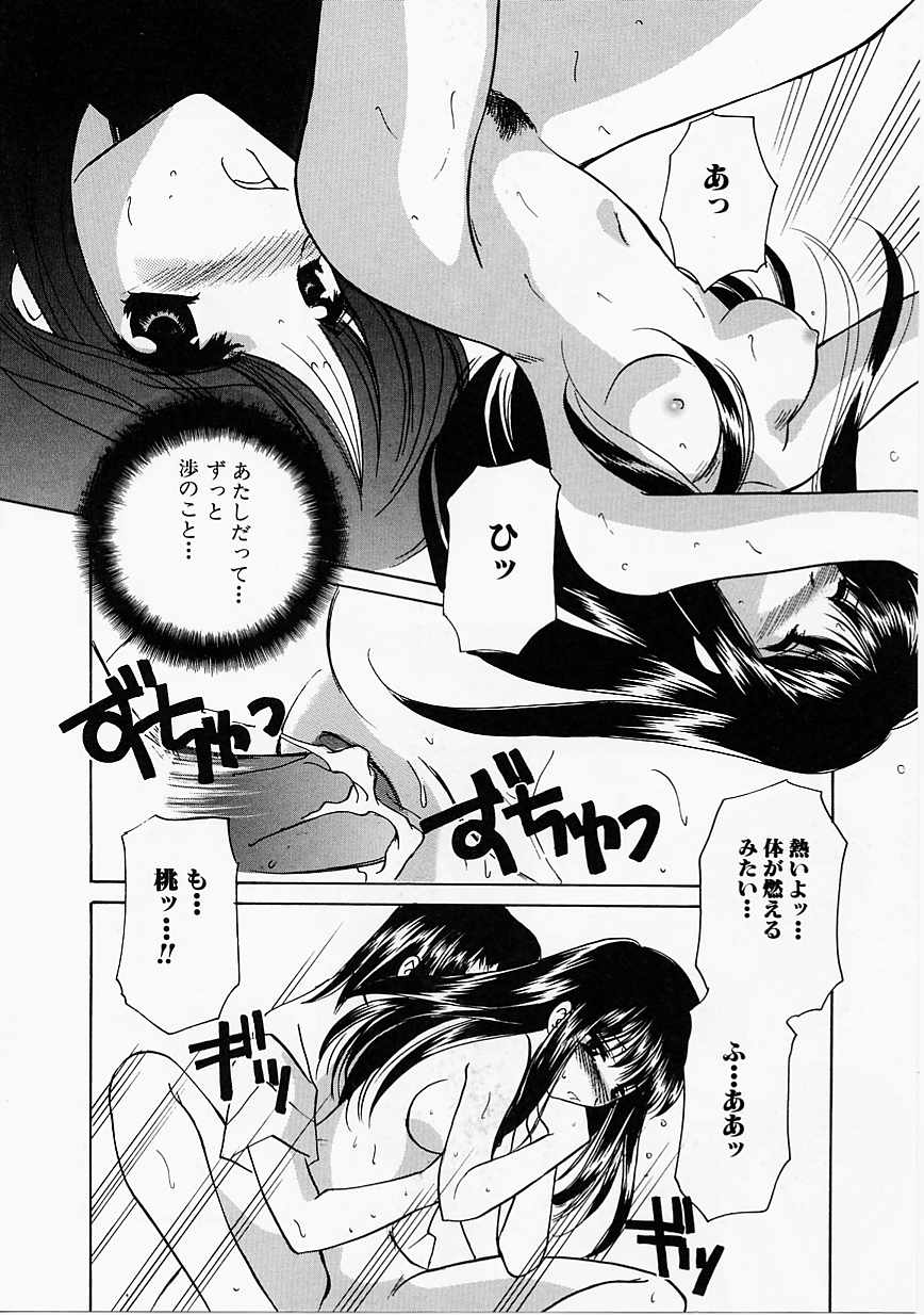 [こうのゆきよ] 天使の果実