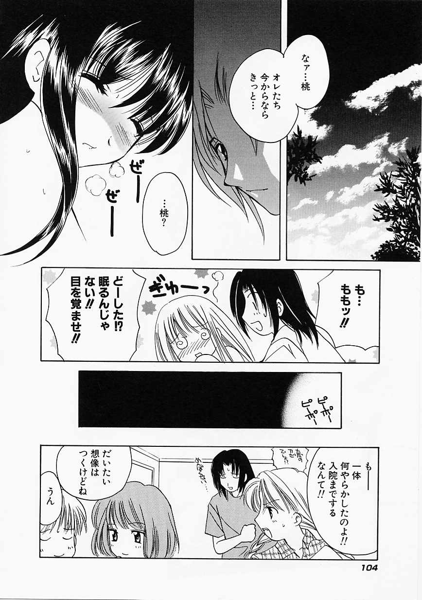 [こうのゆきよ] 天使の果実