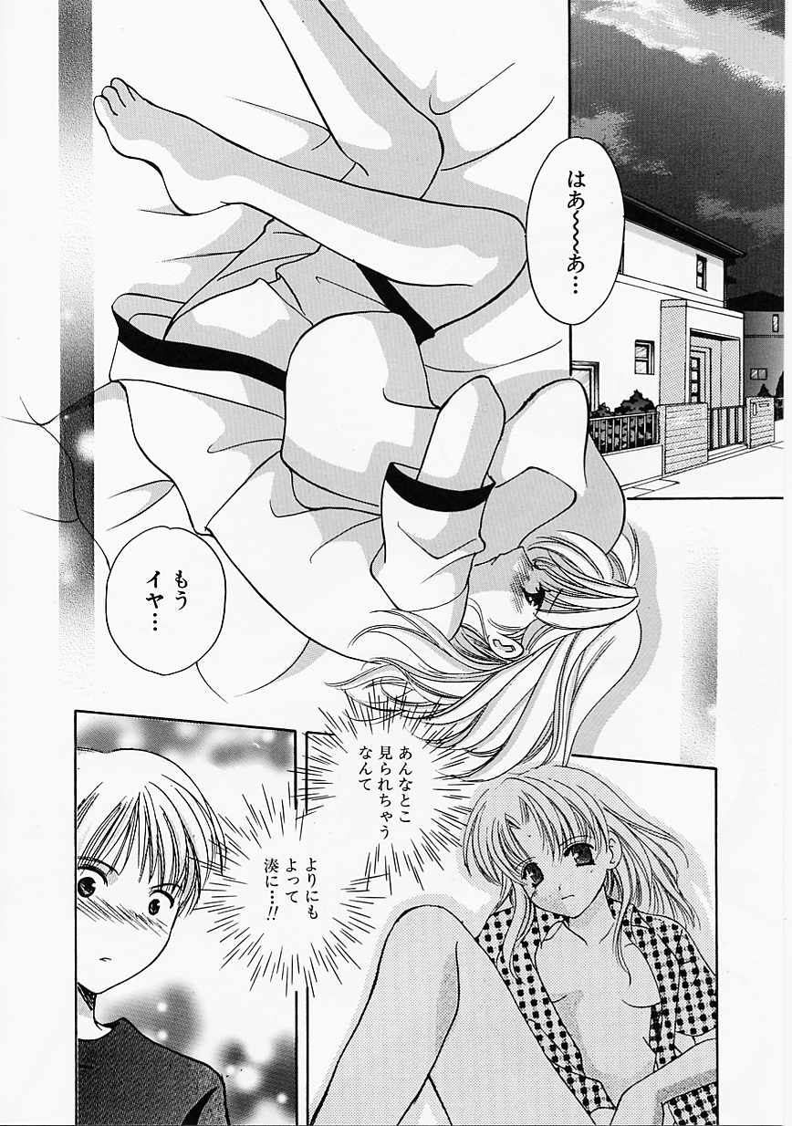 [こうのゆきよ] 天使の果実