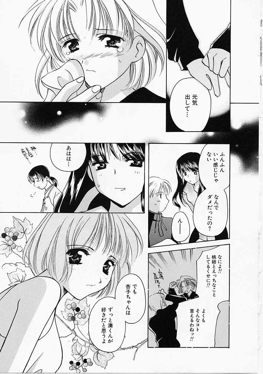 [こうのゆきよ] 天使の果実