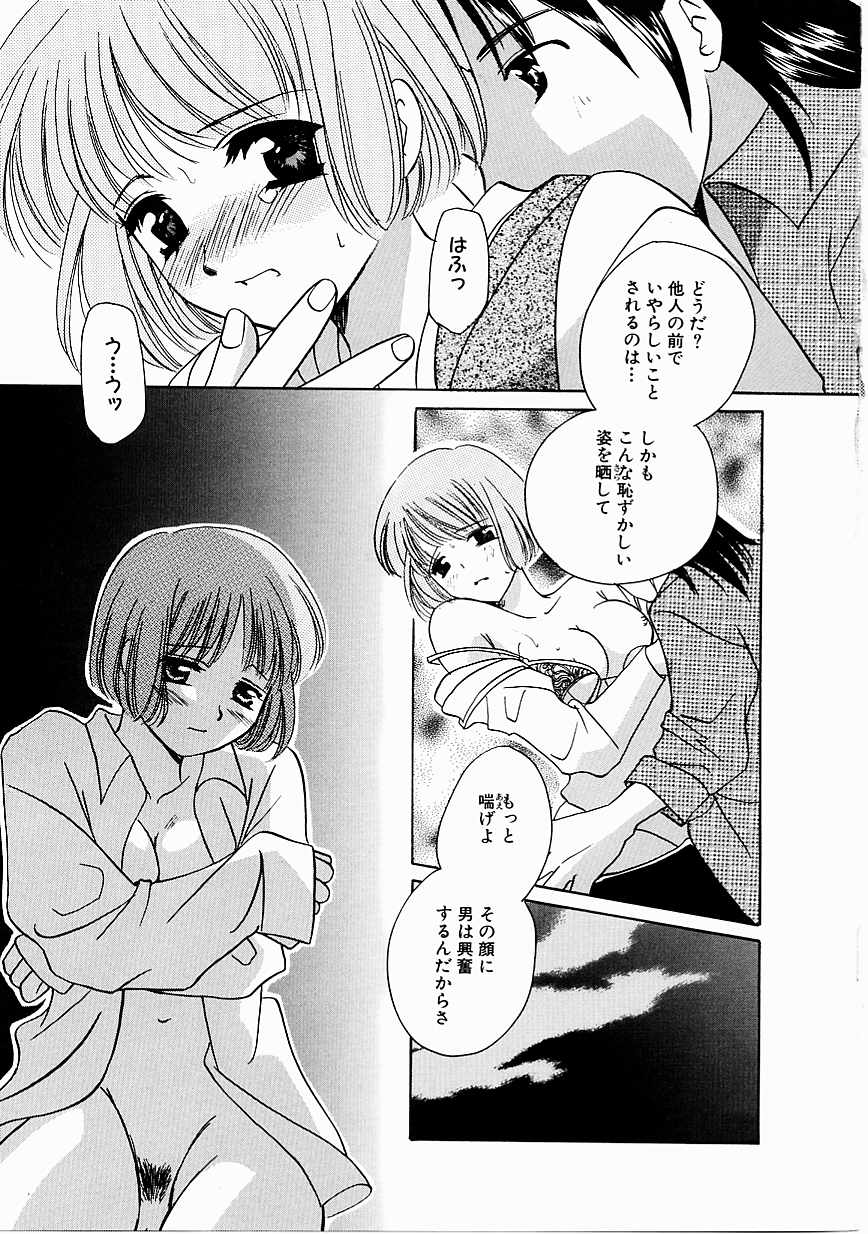 [こうのゆきよ] 天使の果実