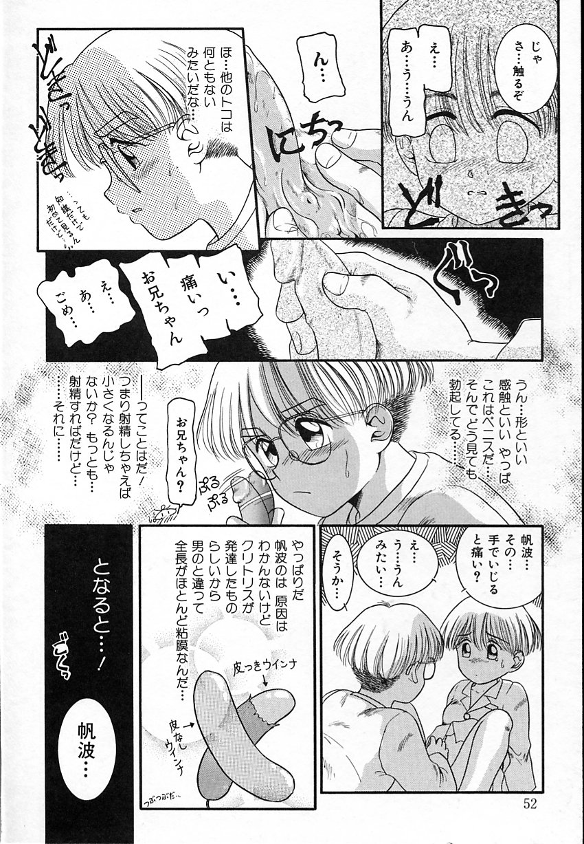 [中ノ尾恵] 背徳のあそび