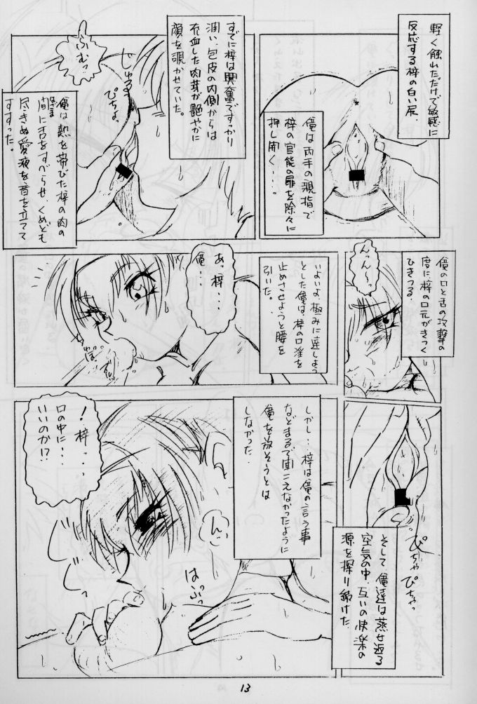 (C55) [WORKS MARUMA (まくらえいじ)] 日用幼画激情 (痕)