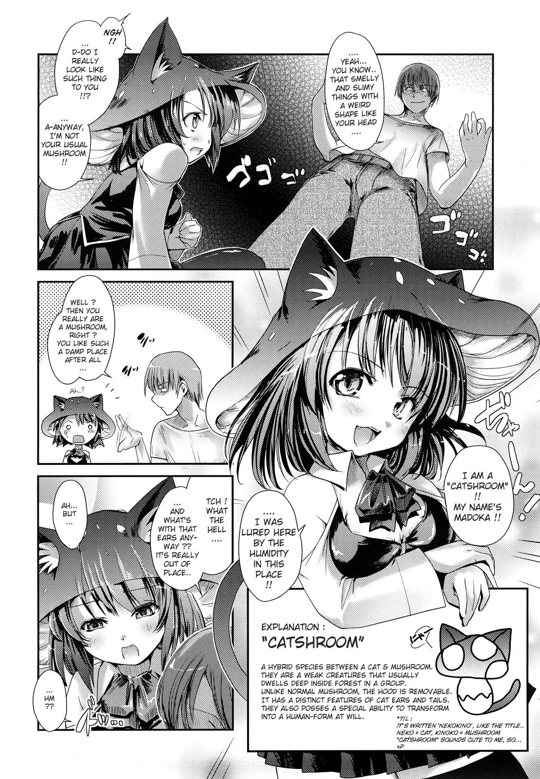 [にびなも凸面体] ネコキノと雨の町 [英訳]