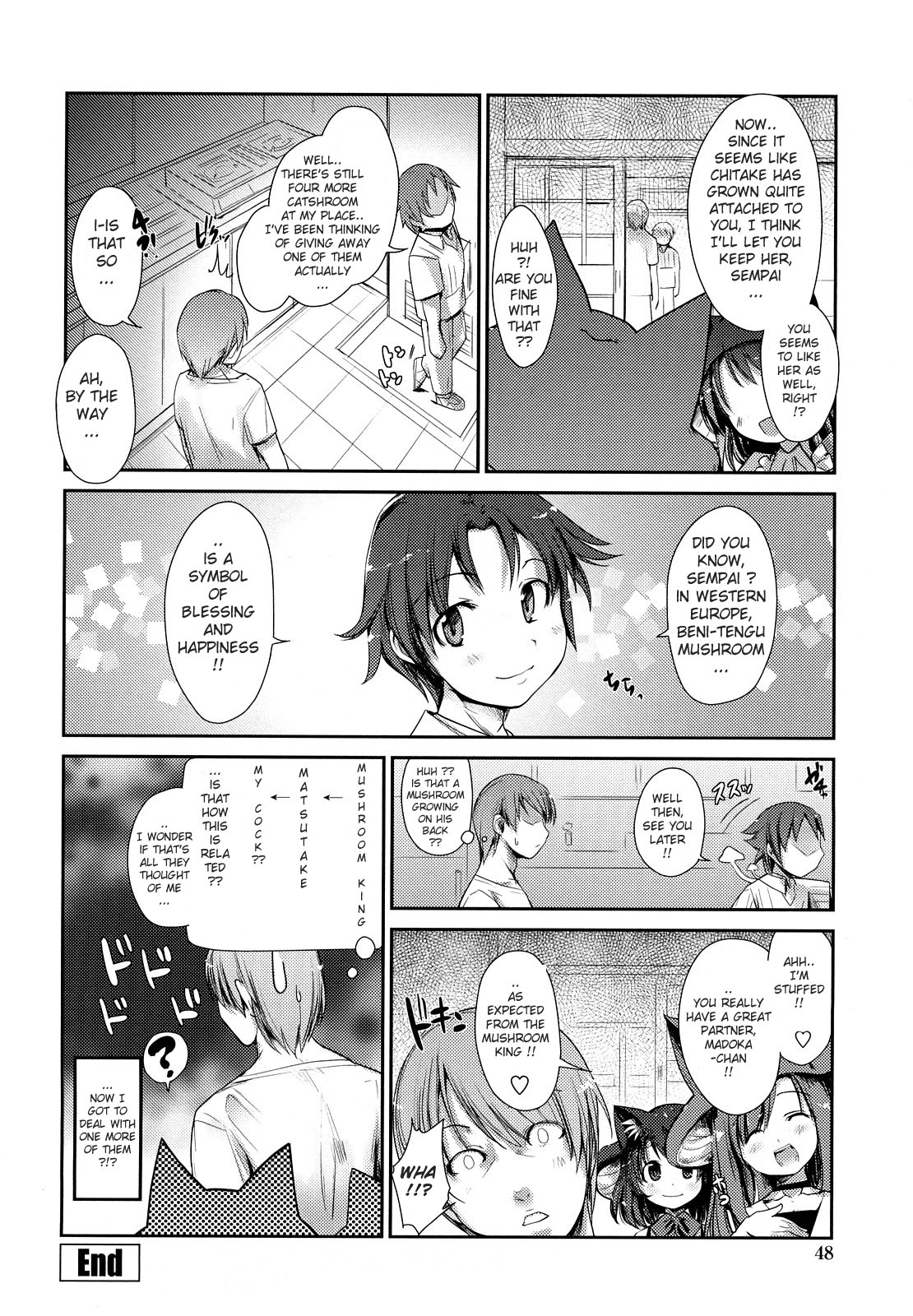 [にびなも凸面体] ネコキノと雨の町 [英訳]