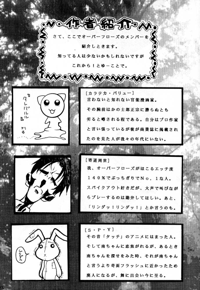 [オーバーフロー]オーバーフロー