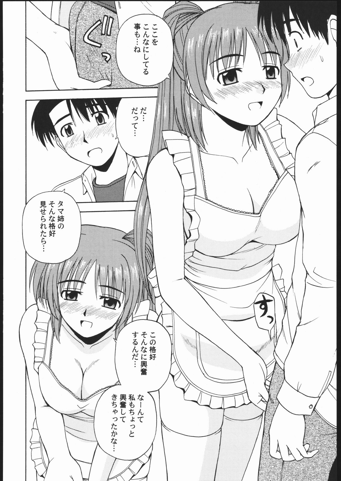 (C69) [G-SCAN CORP. (佐藤茶菓子)] タマ姉といっしょ2 (トゥハート2)