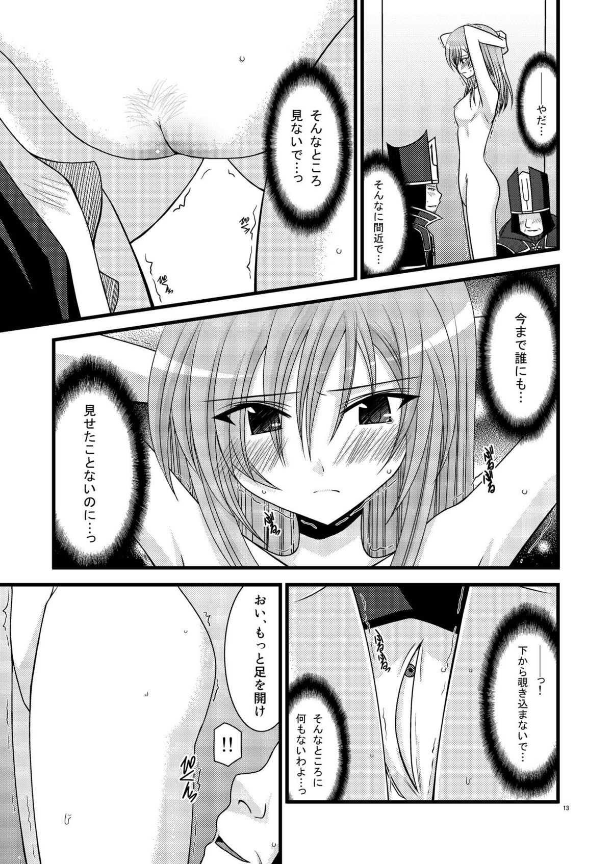 [valssu (茶琉)] MELONにくびったけ!総集編 上 (テイルズ オブ ジ アビス) [DL版]
