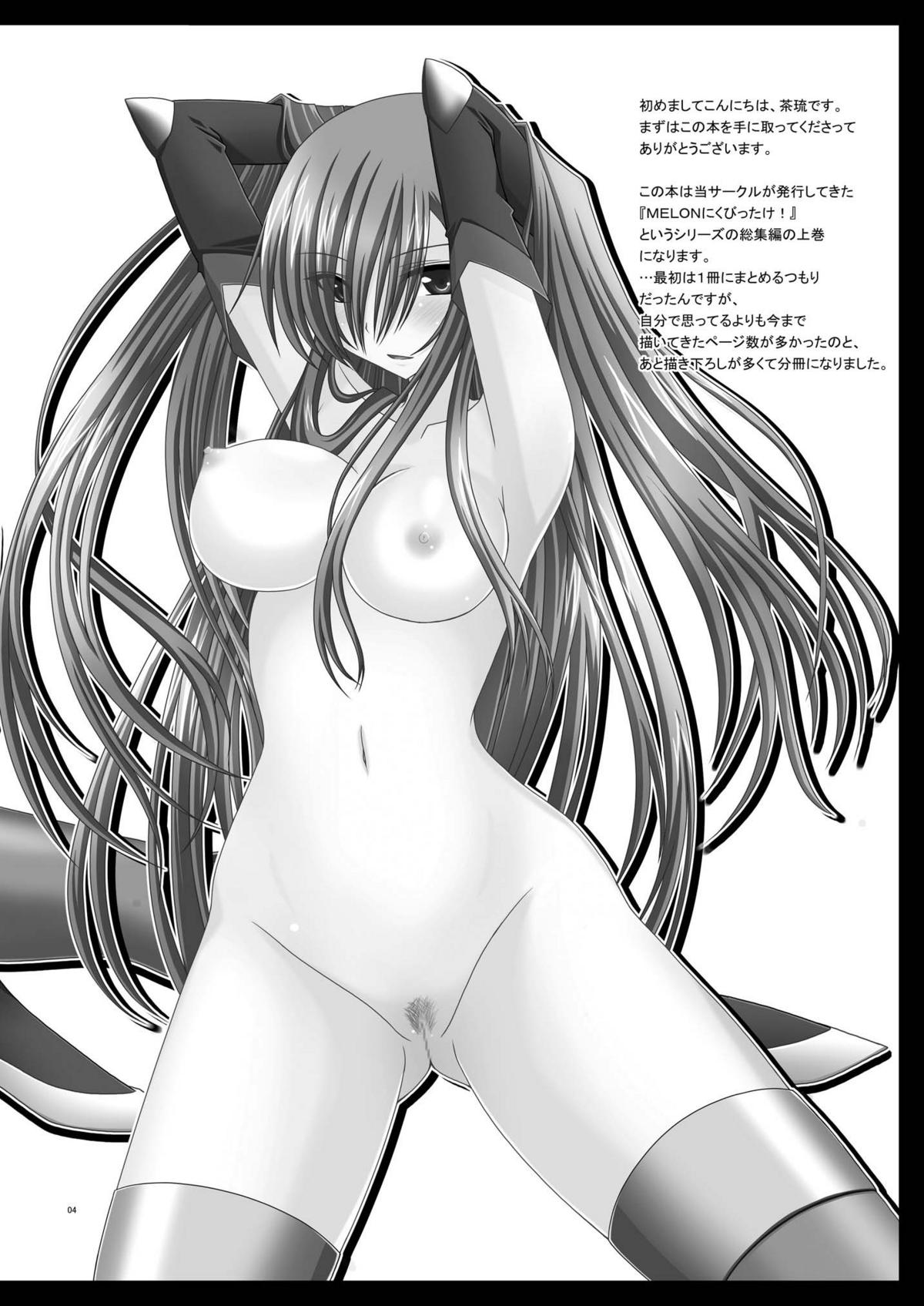 [valssu (茶琉)] MELONにくびったけ!総集編 上 (テイルズ オブ ジ アビス) [DL版]