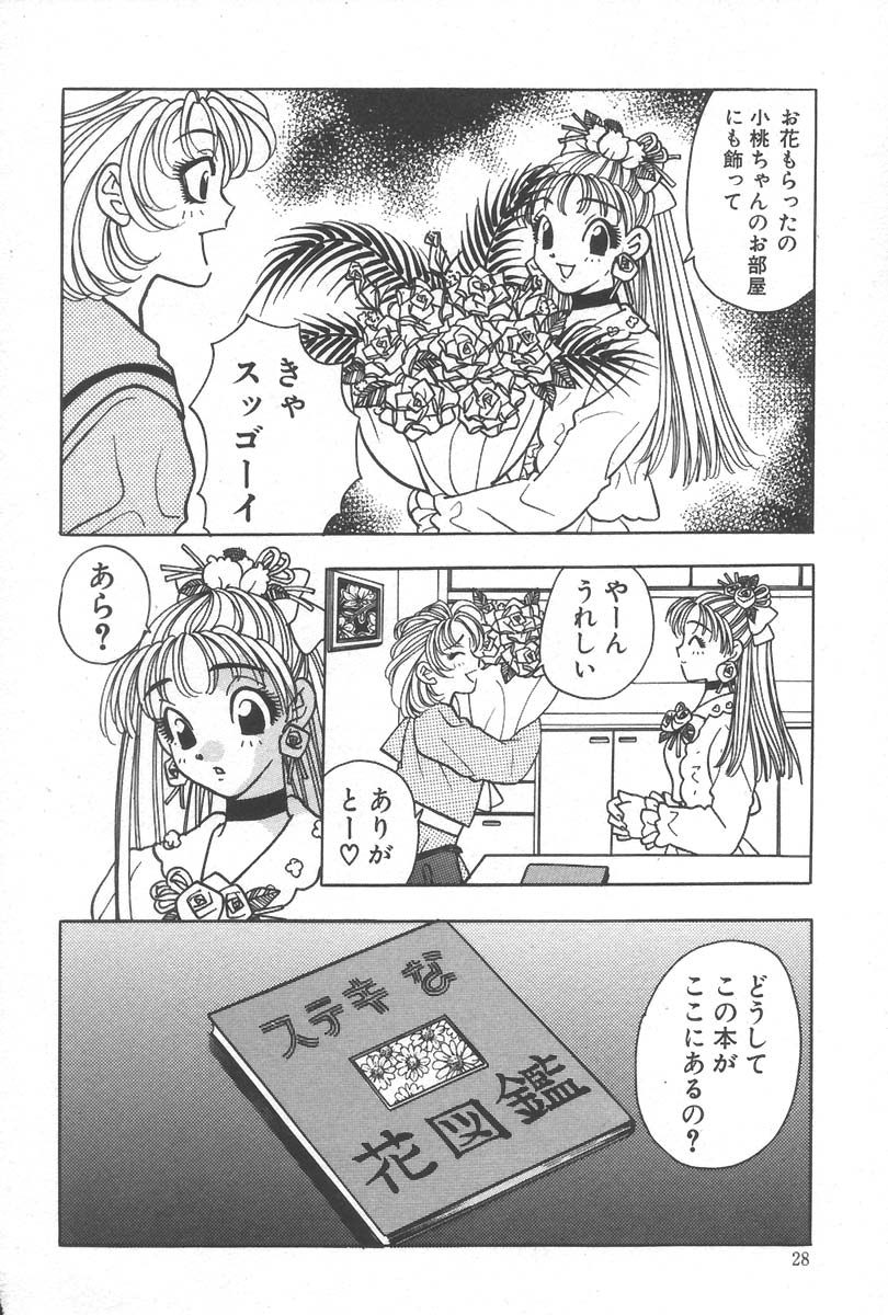 [小本田絵舞] もぎたて桃娘