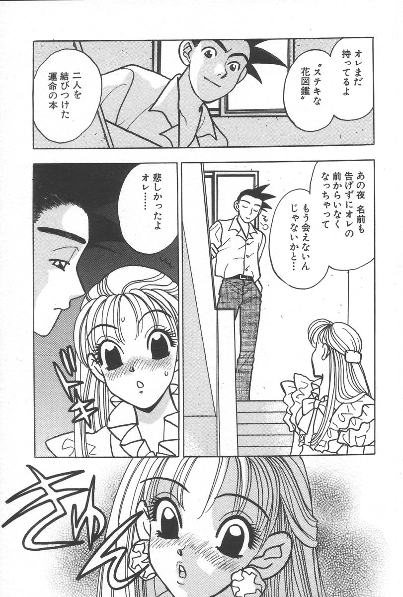 [小本田絵舞] もぎたて桃娘