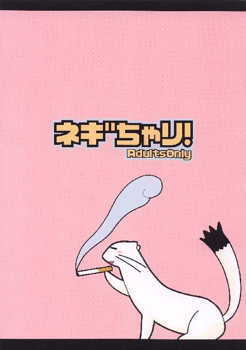 (C65) [てるおはるお (兼清みわ)] ネギちゃり! (魔法先生ネギま!)