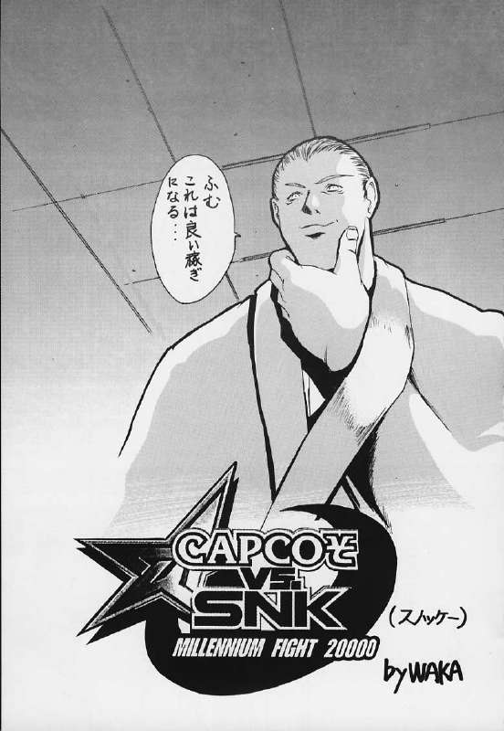 【テールオブニアリー】シャドウディフェンスVer。 20（カプコンvs.SNK）