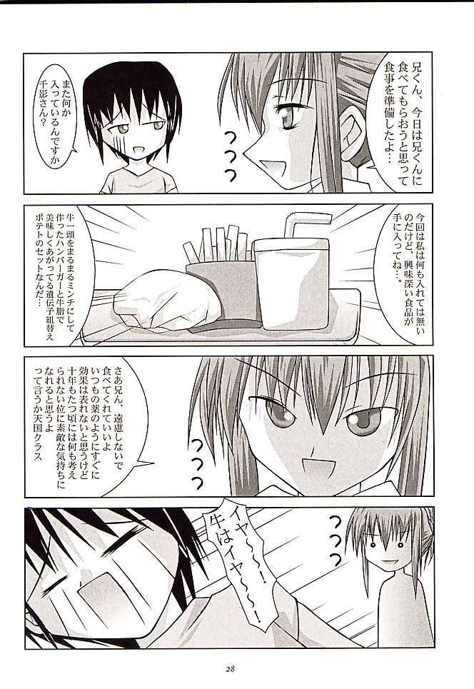 (Cレヴォ30) [MK2Factory (めけめけ)] SISTER NO.3 (シスタープリンセス)