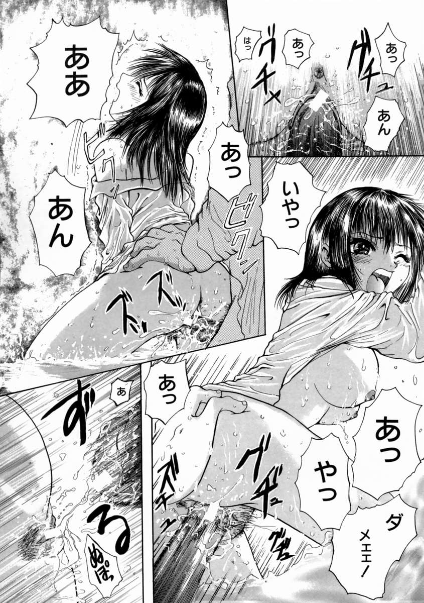 [庵譲] FINE GIRL