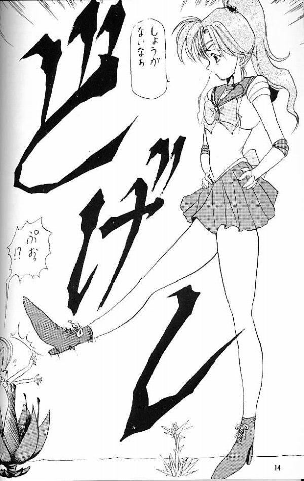 (C45) [しゅーくりーむさんでー (水上広樹)] C'est La Moon (美少女戦士セーラームーン)