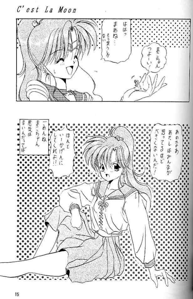 (C45) [しゅーくりーむさんでー (水上広樹)] C'est La Moon (美少女戦士セーラームーン)