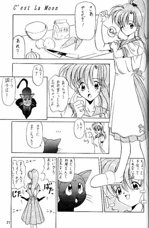 (C45) [しゅーくりーむさんでー (水上広樹)] C'est La Moon (美少女戦士セーラームーン)