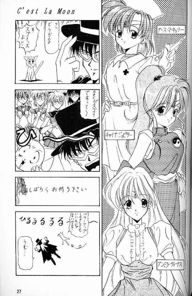 (C45) [しゅーくりーむさんでー (水上広樹)] C'est La Moon (美少女戦士セーラームーン)