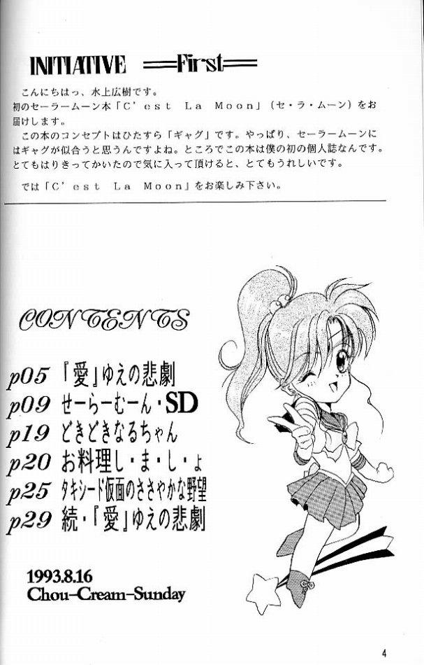(C45) [しゅーくりーむさんでー (水上広樹)] C'est La Moon (美少女戦士セーラームーン)