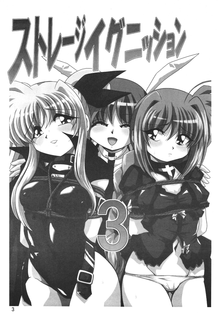 [サーティセイバーストリート2Dシューティング] ストレージイグニッション 3 (魔法少女リリカルなのは)