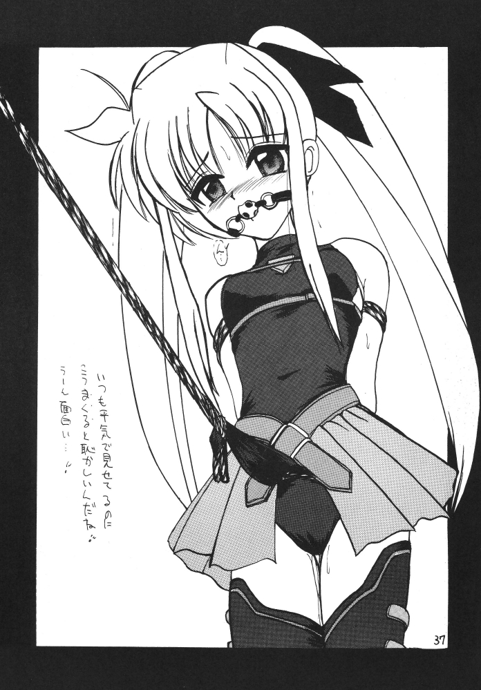 [サーティセイバーストリート2Dシューティング] ストレージイグニッション 3 (魔法少女リリカルなのは)