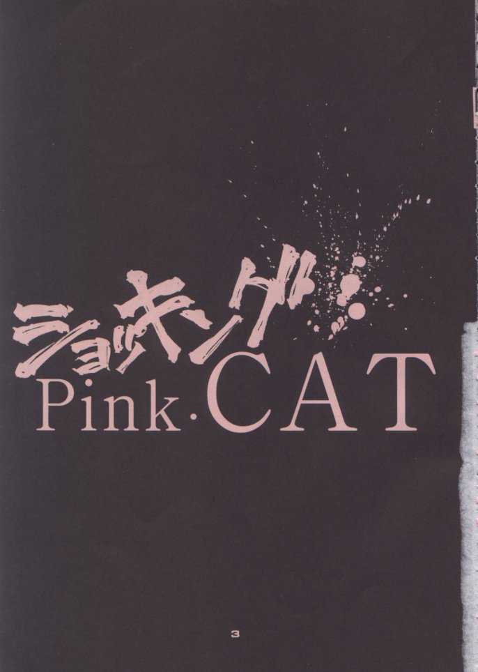 (C48) [Pussy CAT (大野哲也)] ショッキングPINK・CAT (魔法少女プリティサミー)