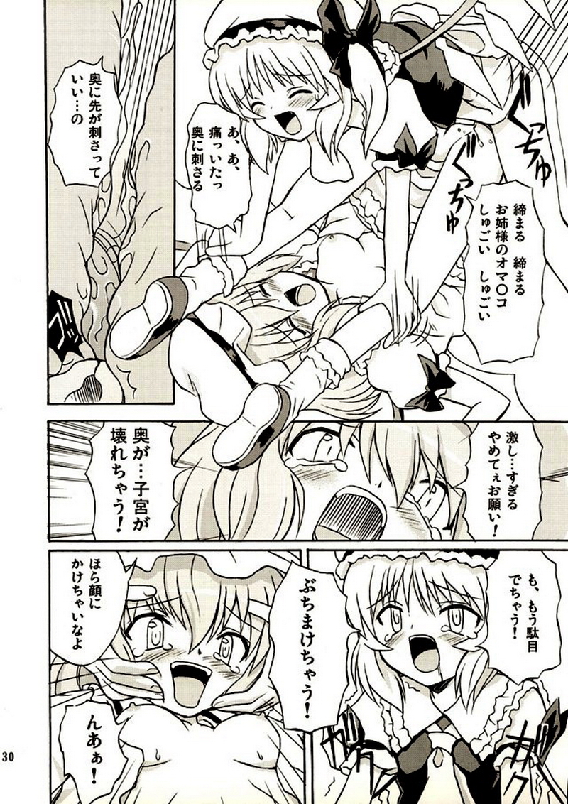 (例大祭2) [高久屋 (高久としひこ)] 東方妖女乱舞2 (東方Project)