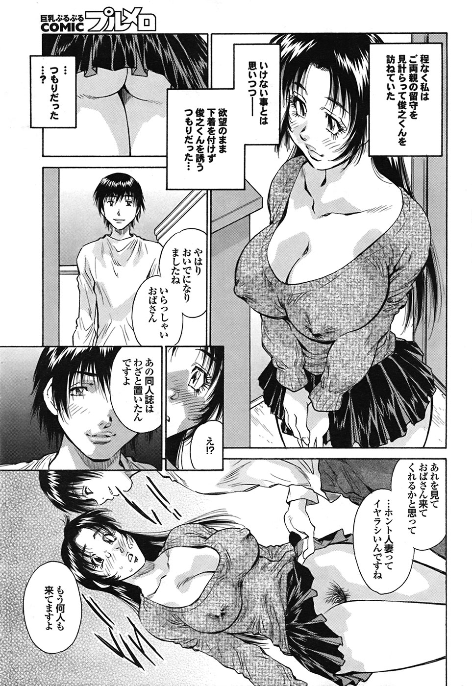 COMIC プルメロ 2009年03月号 vol.27