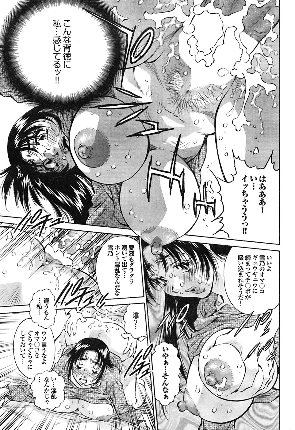 COMIC プルメロ 2009年03月号 vol.27