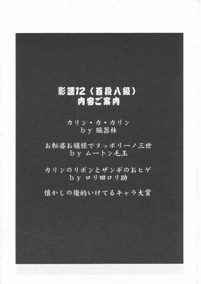 [てーるおぶにやりー (よろず)] 影護第壱十弐段 百段八級 (ストリートファイター)