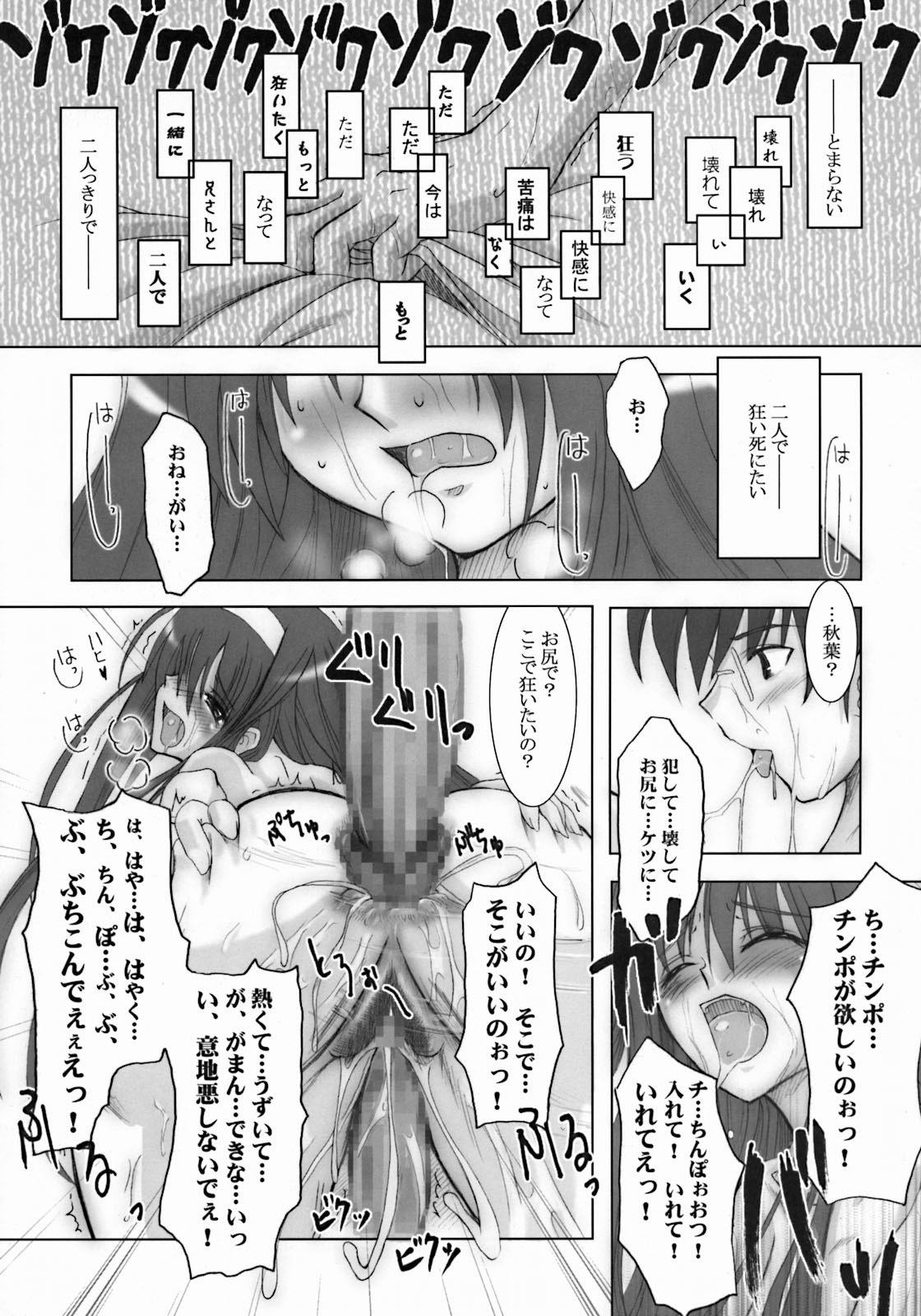 (サンクリ23) [ツキヒメゴト制作委員会 (よろず)] Moon Ecstasy ツキヒメゴト邪 LEVEL ☆☆☆ HARDCORE (月姫)