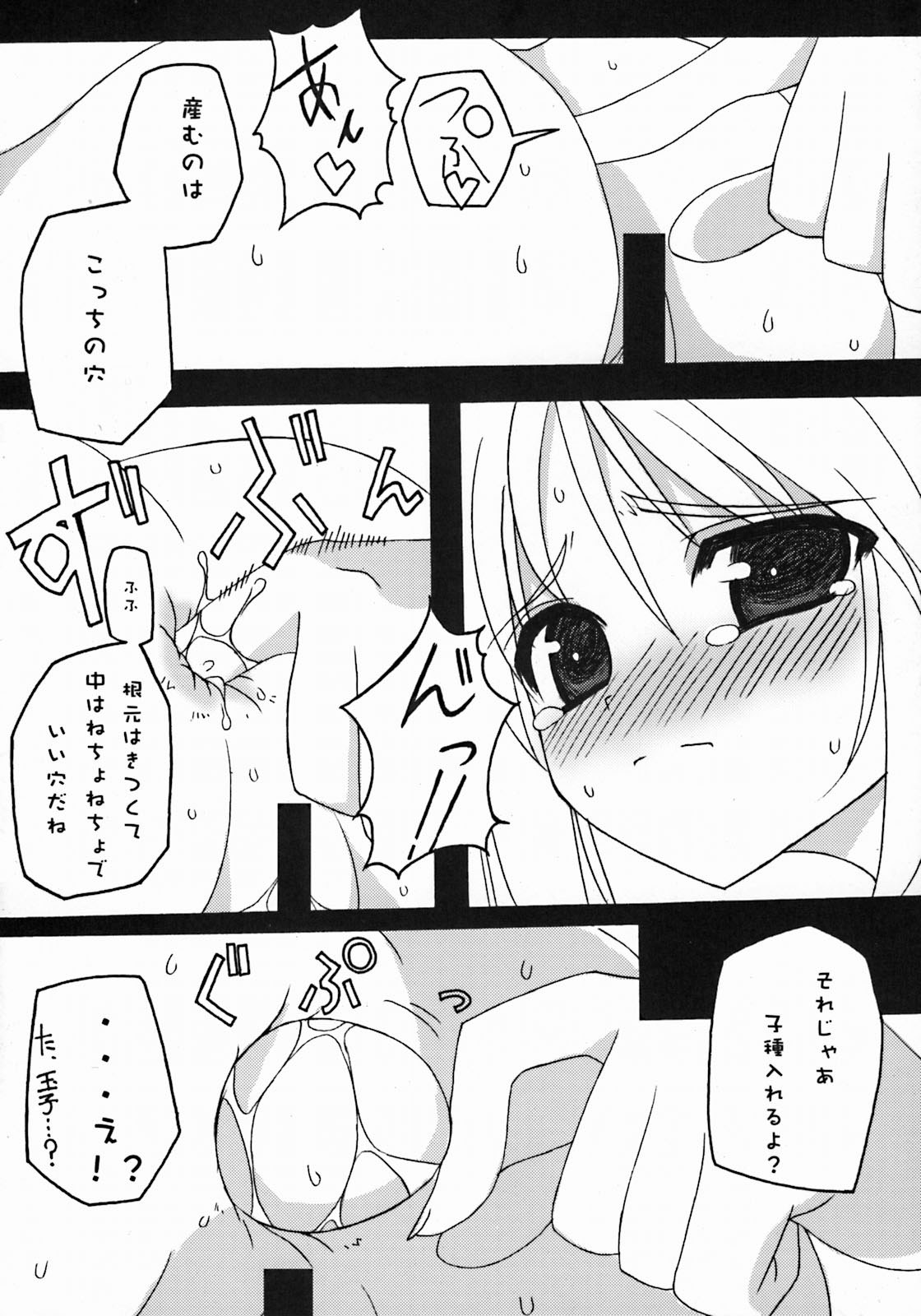 (サンクリ23) [ツキヒメゴト制作委員会 (よろず)] Moon Ecstasy ツキヒメゴト邪 LEVEL ☆☆☆ HARDCORE (月姫)