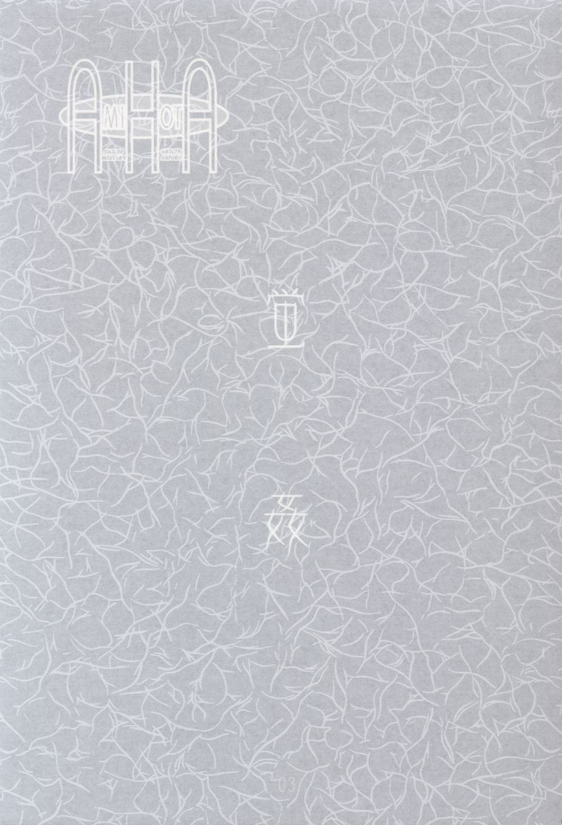 [片励会 (かわらじま晃)] AMIHOTA:a"KEI-KAN" (セーラームーン)