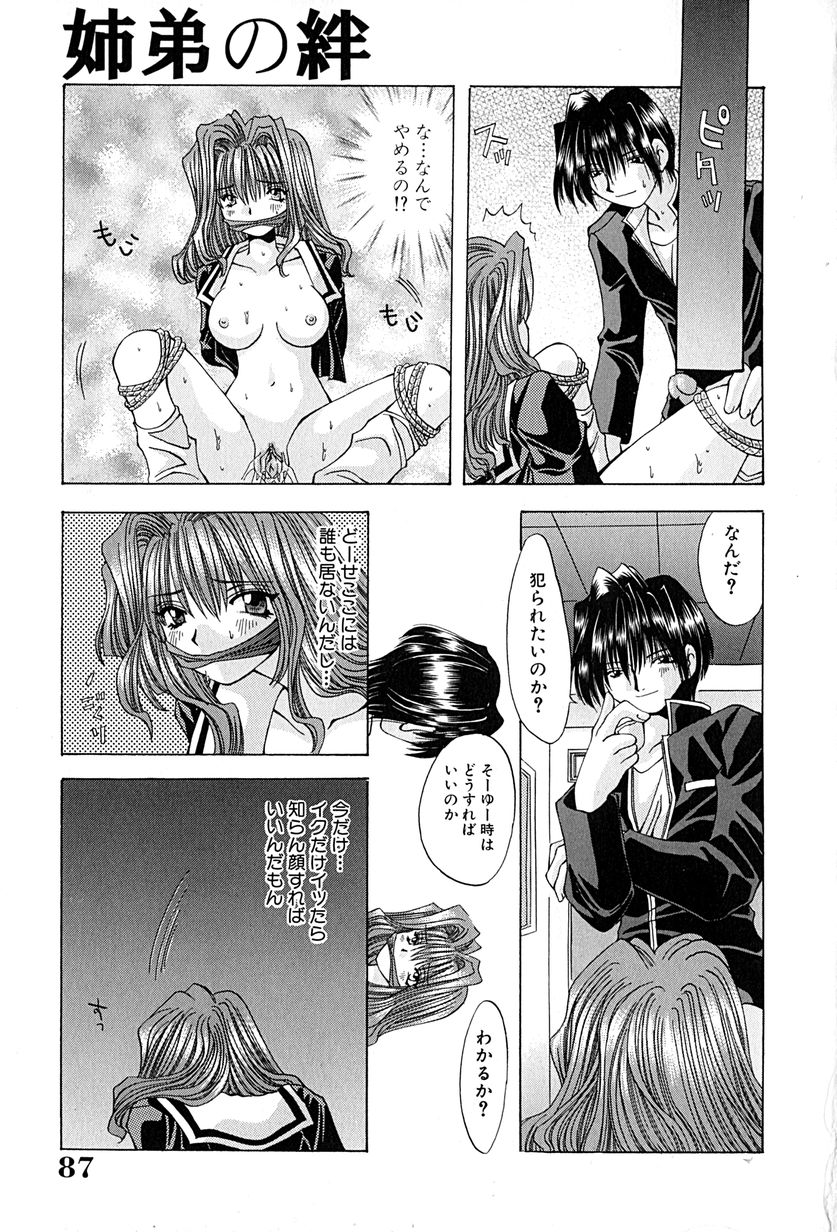 [大槻ミチロヲ] 姉弟の絆