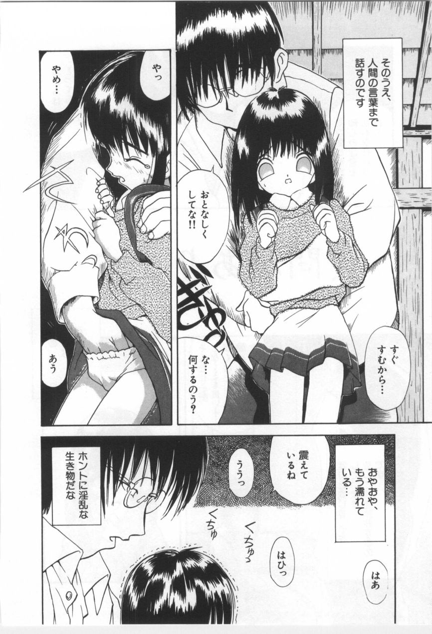 [もりしげ] 子供の森